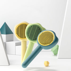 Transform Your Pet Grooming Routine